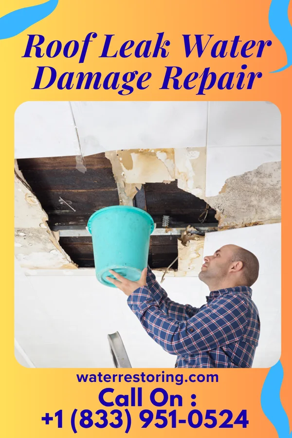 Roof Leak Water Damage Repair in Casstown, OH