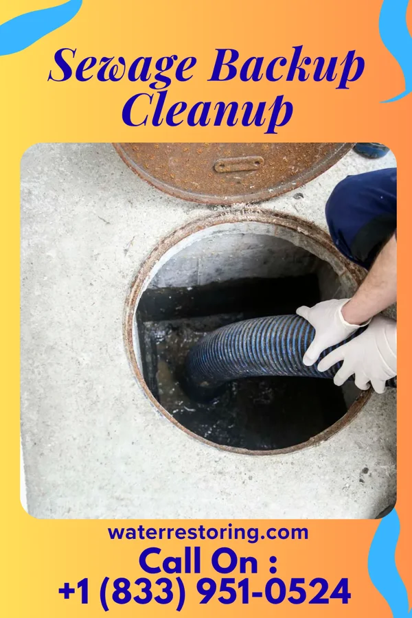 Sewage Backup Cleanup in Casstown, OH