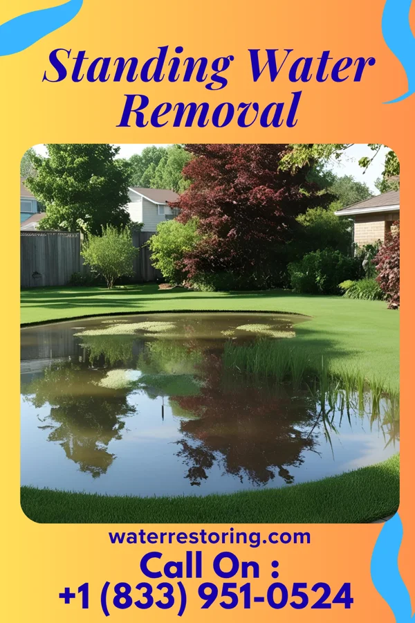 Standing Water Removal in Casstown, OH